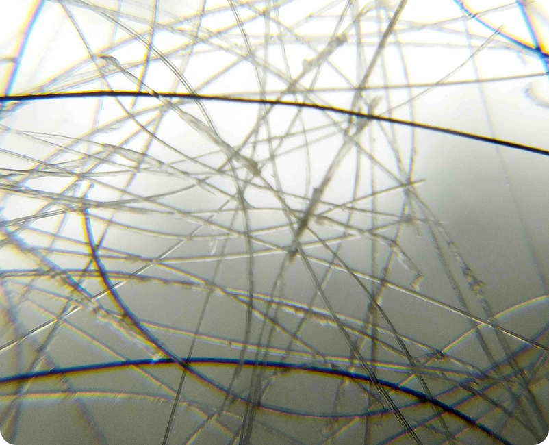 ทำไมต้องทำ GFC กับ DHI Thailand