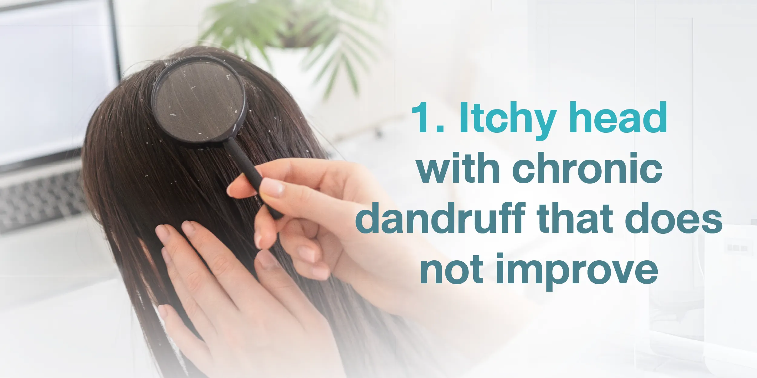 1. Itchy head with chronic dandruff that does not improve
