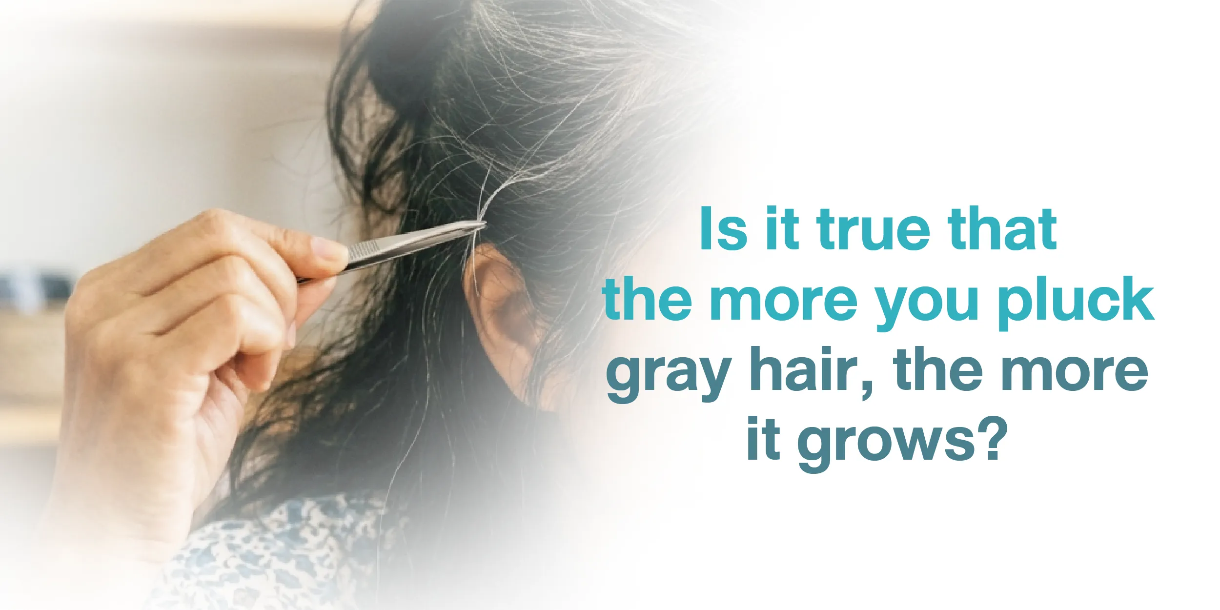 Is it true that the more you pluck gray hair, the more it grows