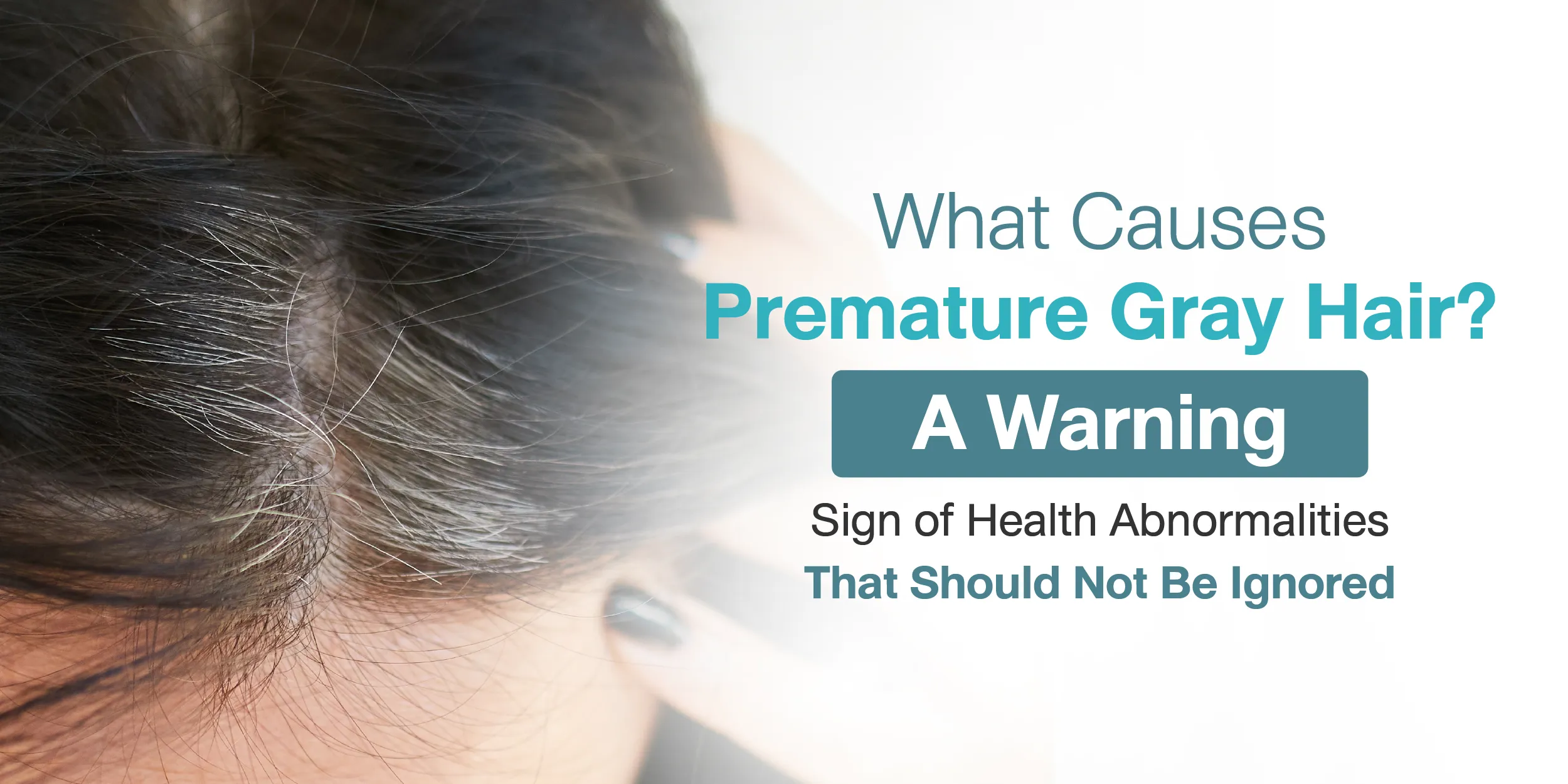 What Causes Premature Gray Hair A Warning Sign of Health Abnormalities That Should Not Be Ignored