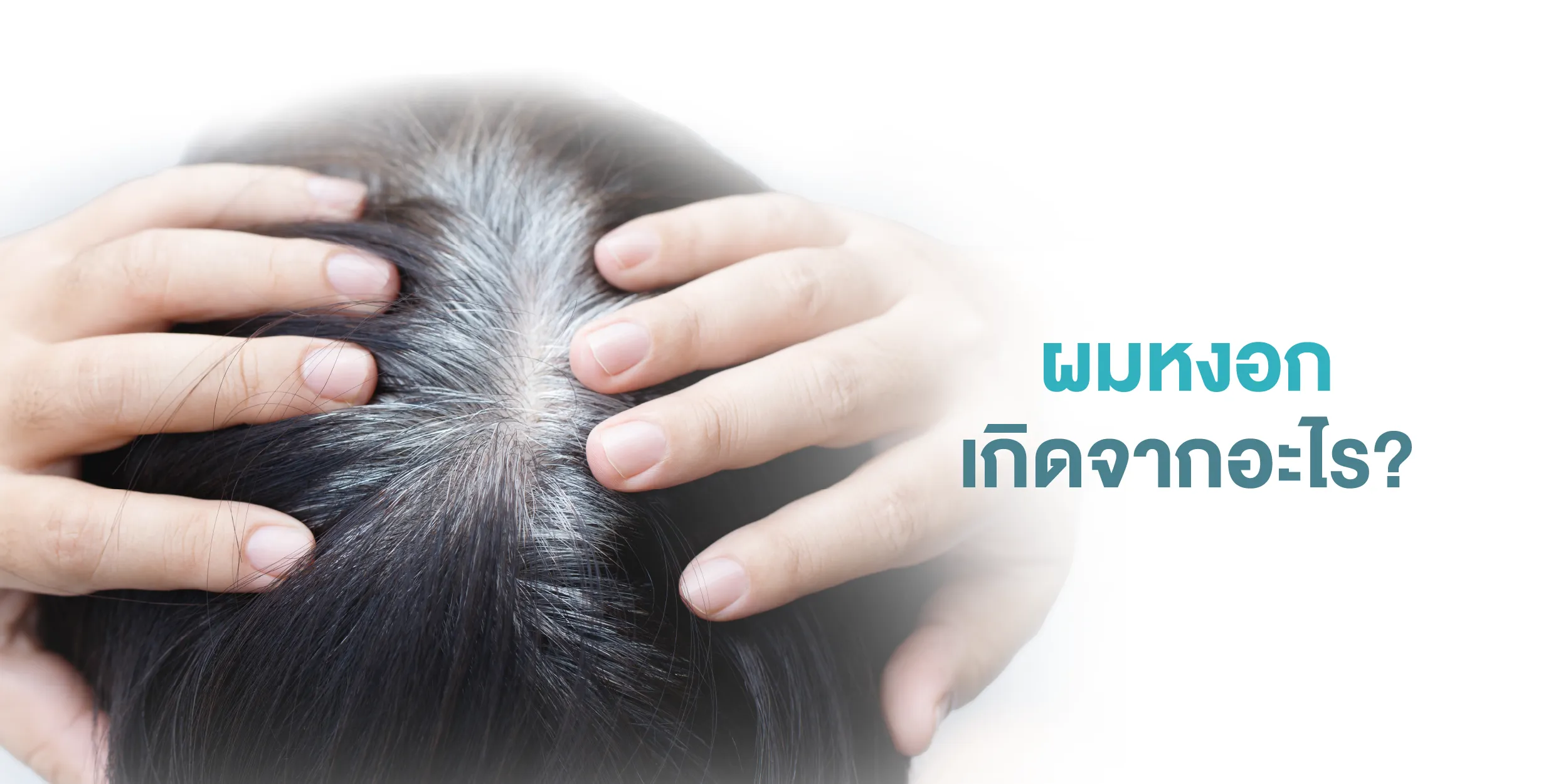 ผมหงอก เกิดจากอะไร