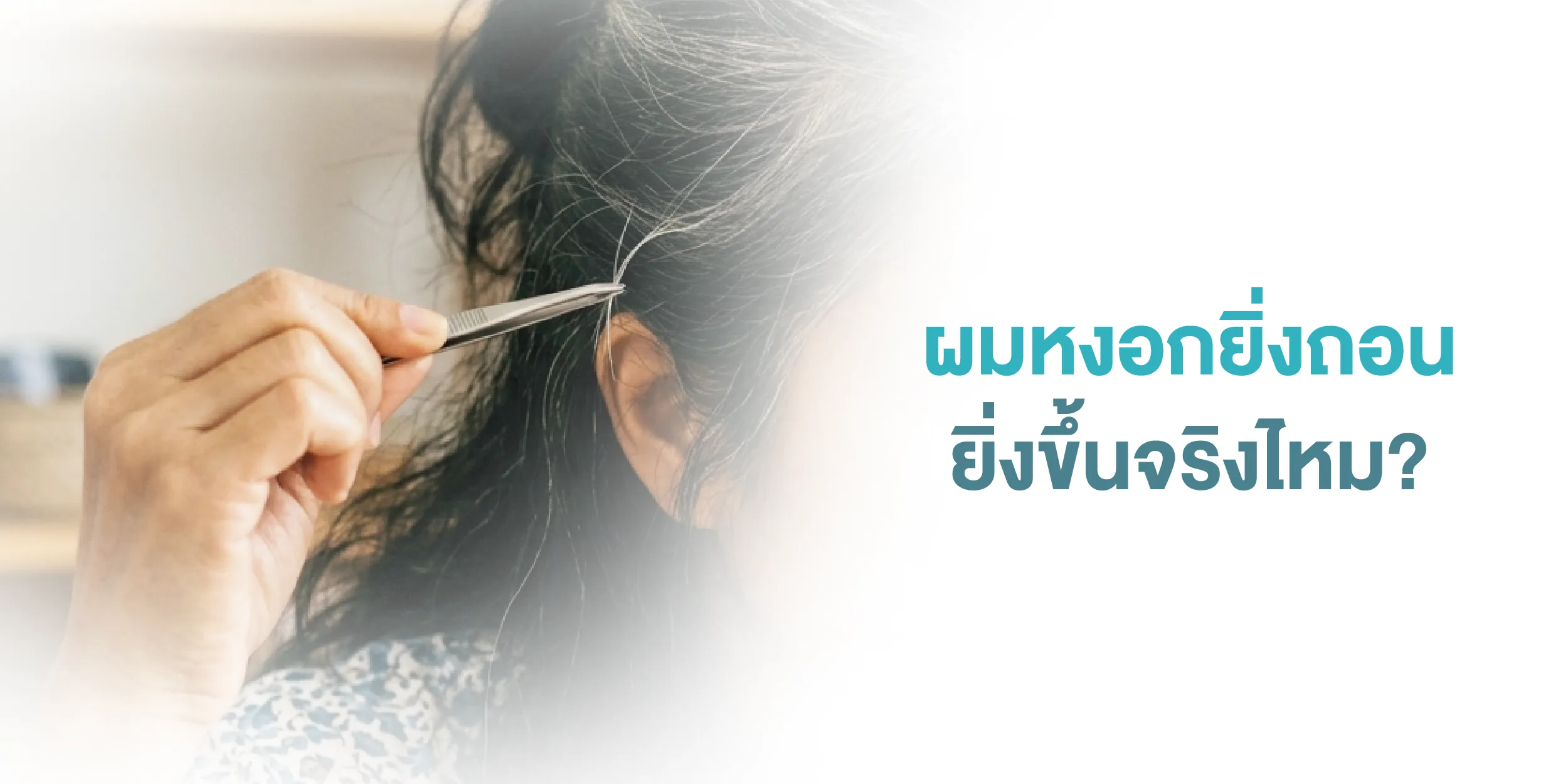 ผมหงอกยิ่งถอนยิ่งขึ้นจริงไหม