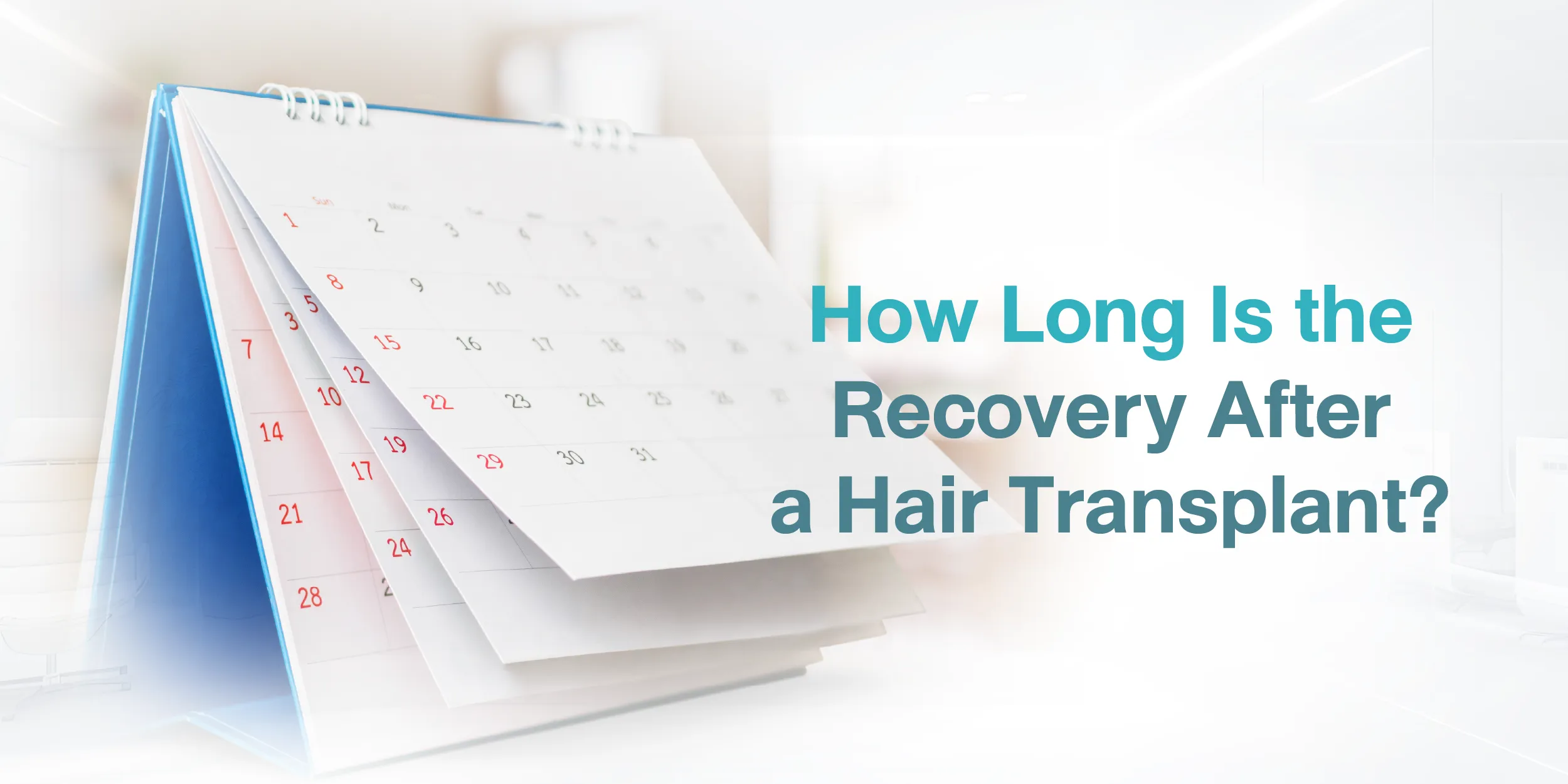 How Long Is the Recovery After a Hair Transplant