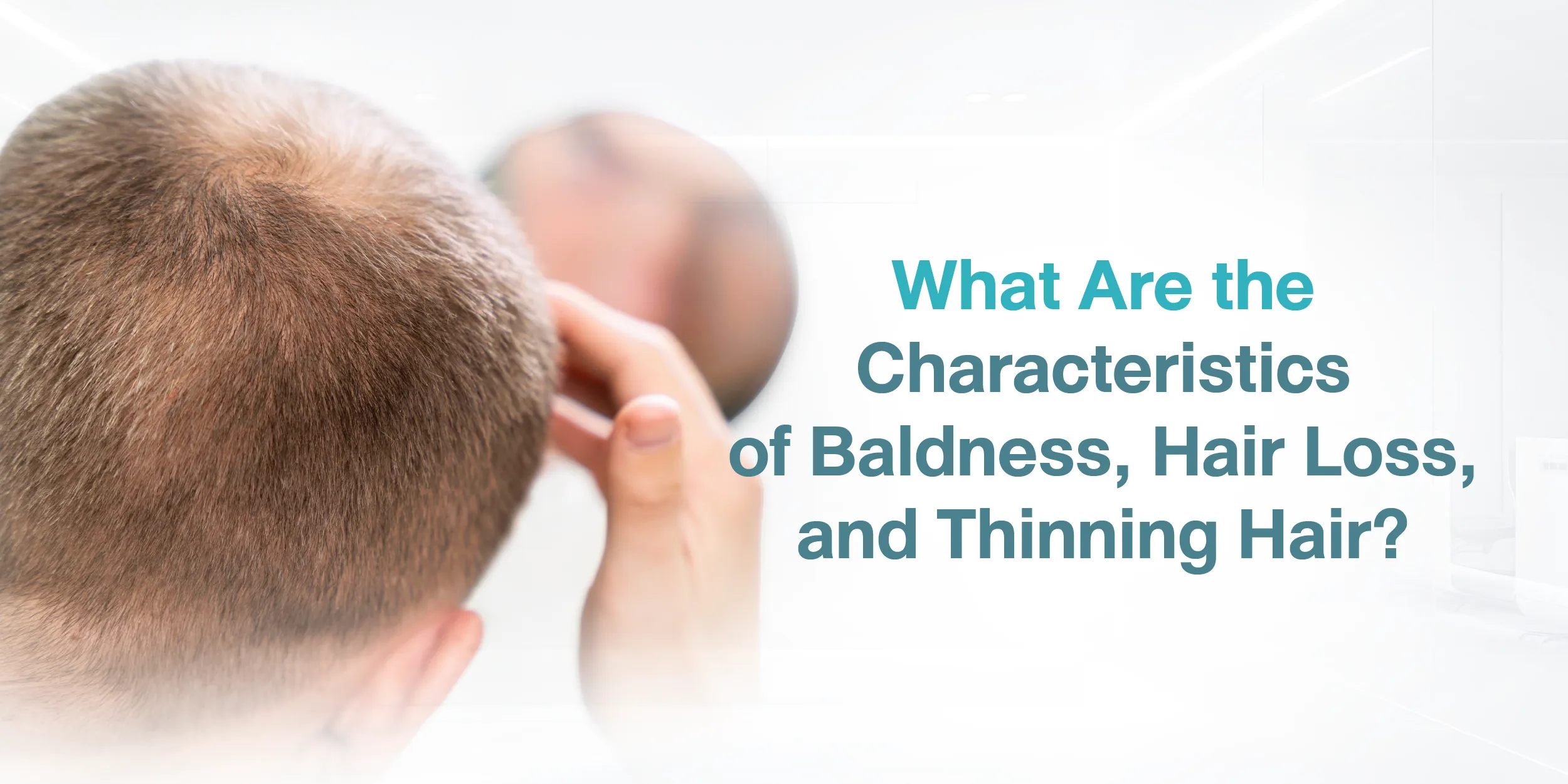 What Are the Characteristics of Baldness, Hair Loss, and Thinning Hair