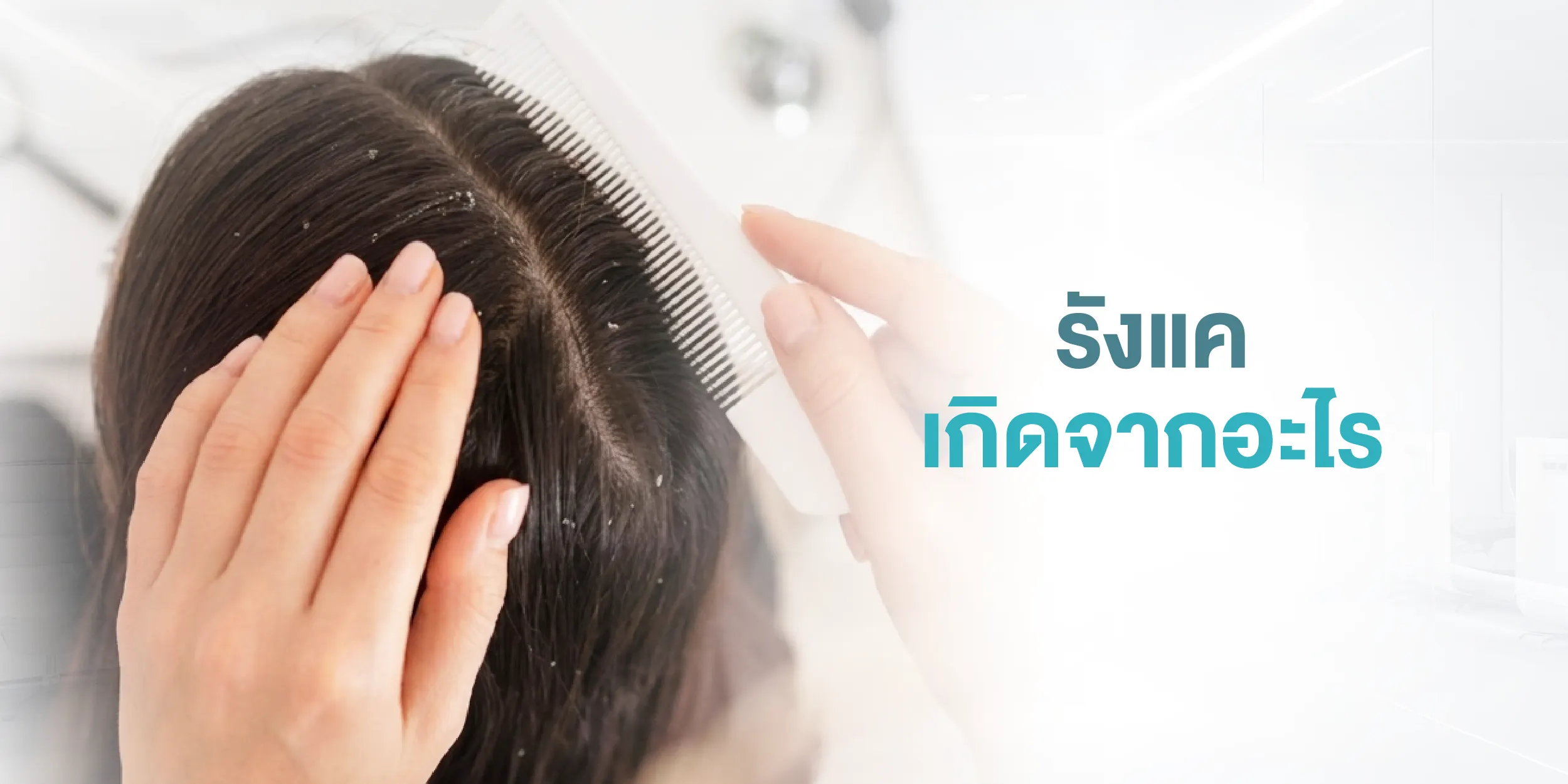 รังแค เกิดจากอะไร
