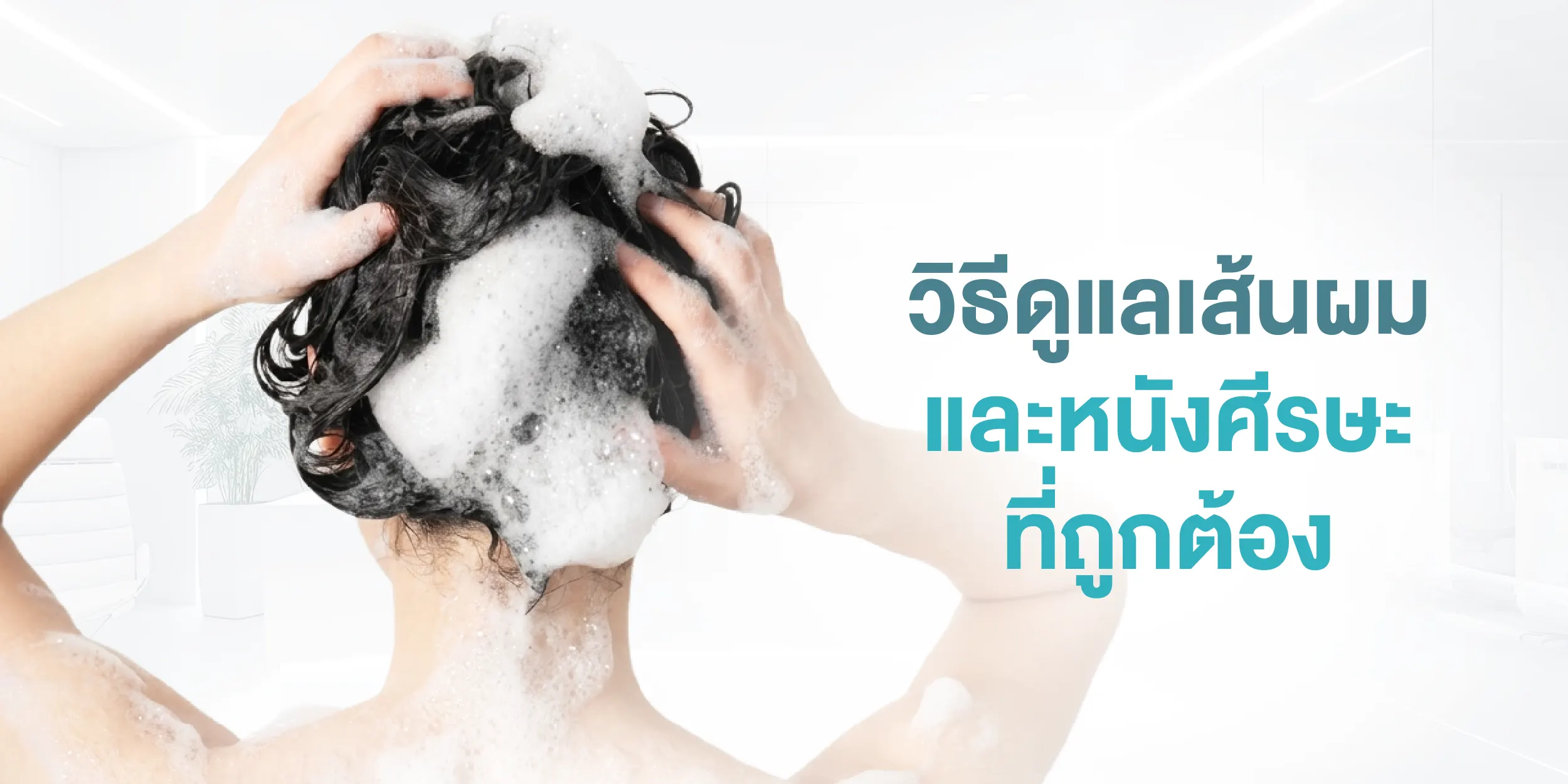 วิธีดูแลเส้นผม และหนังศีรษะที่ถูกต้อง