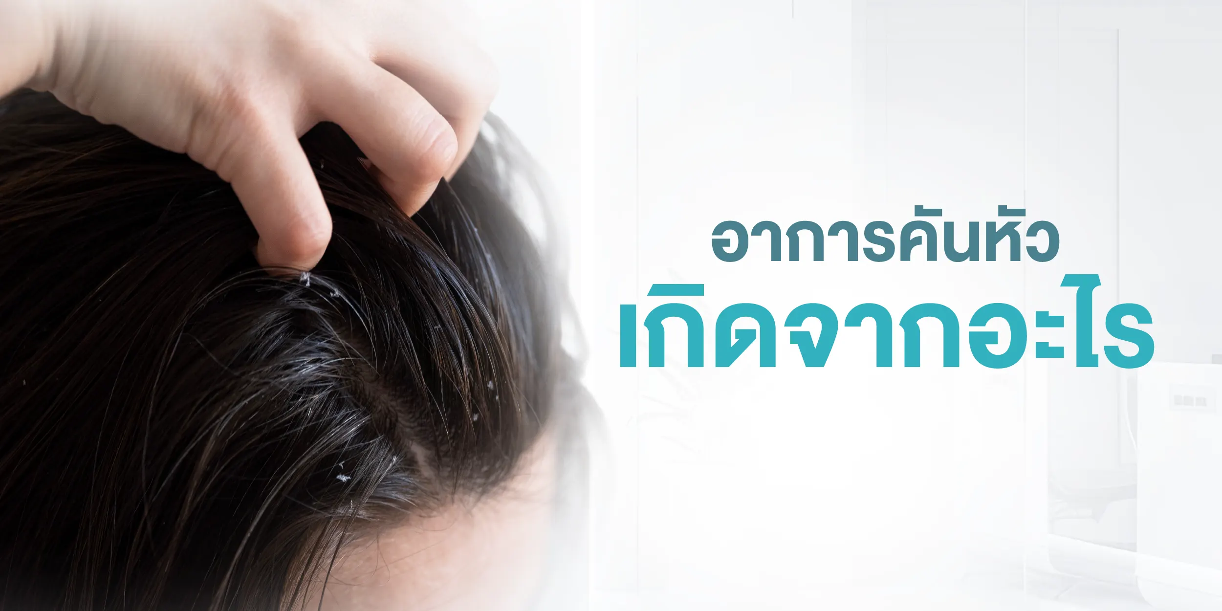 อาการคันหัว เกิดจากอะไร