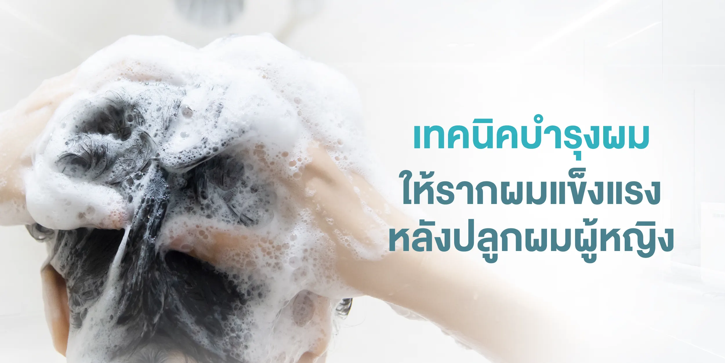 เทคนิคบำรุงผมให้รากผมแข็งแรงหลังปลูกผมผู้หญิง