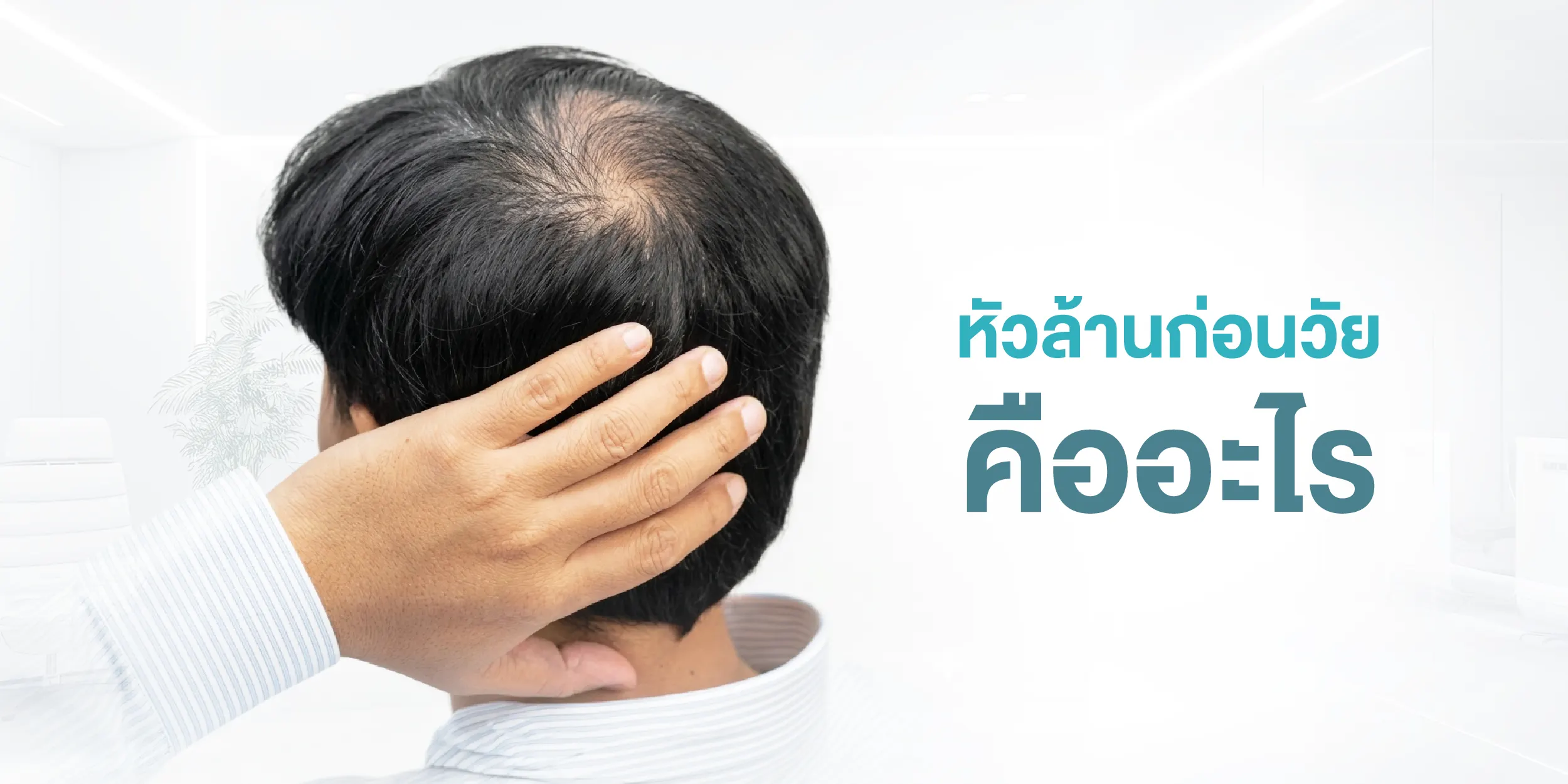 หัวล้านก่อนวัย คืออะไร
